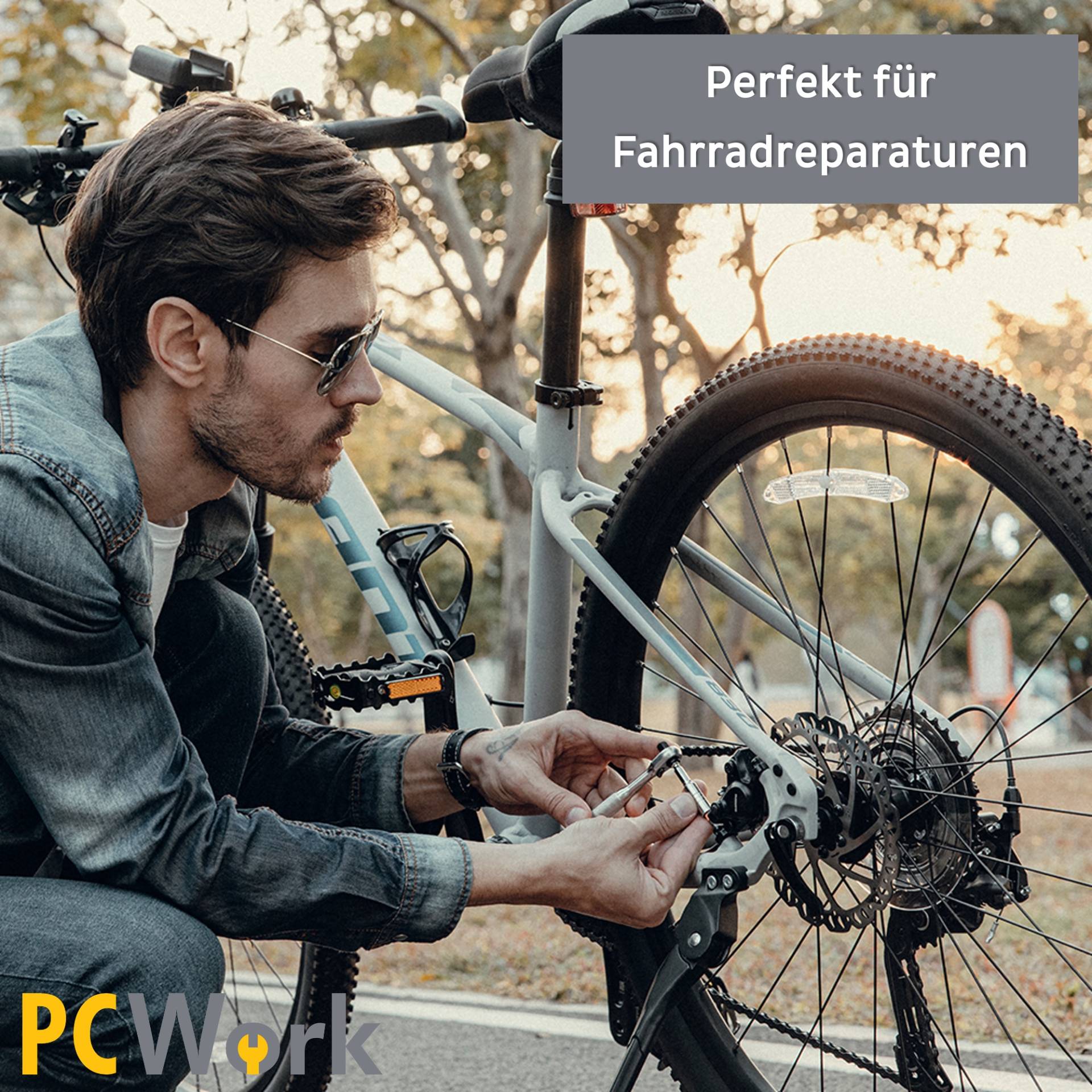 PCW08L Feinmechanik Ratschen Set 42 Teile, Elektronikreparatur, Fahrradreparatur